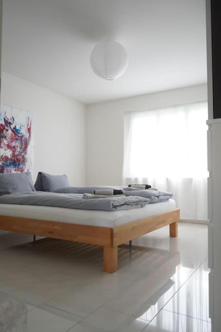 Apartment Luxus 3.5 Zimmer-wohnung-balkon-whirlpool-parking Luzern